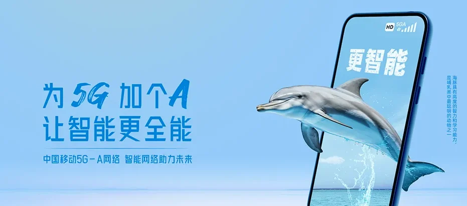 陕州区陕州区王家后乡 移动宽带